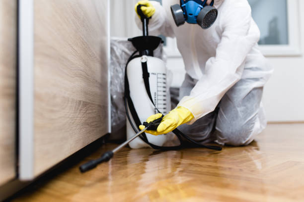 Best Ant Control Services  in Buckner, KY