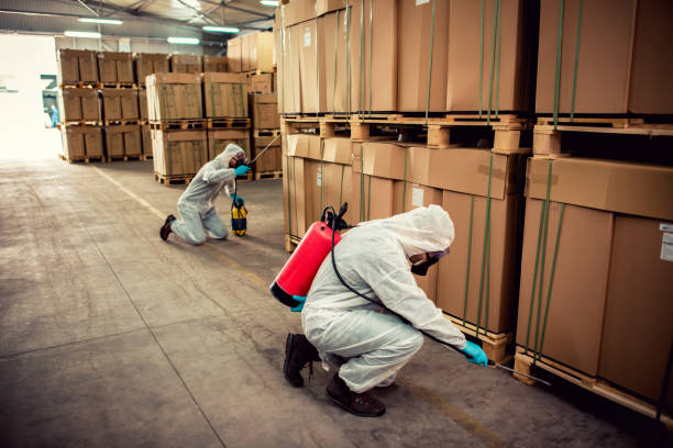 Best Local Pest Control Services  in Buckner, KY