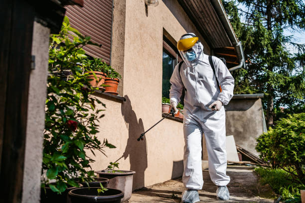 Best Affordable Pest Control Services  in Buckner, KY