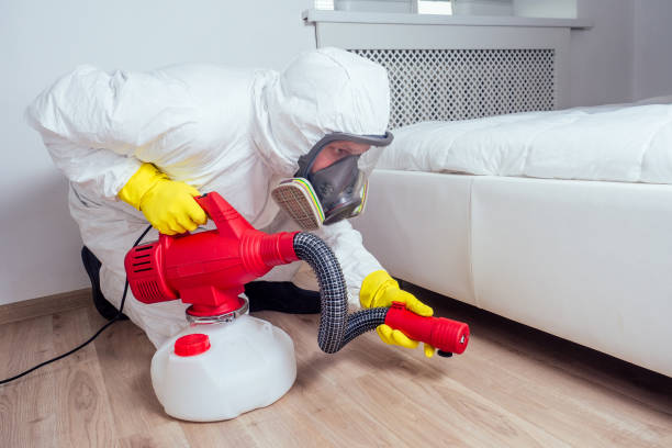 Best Flea Control Services  in Buckner, KY