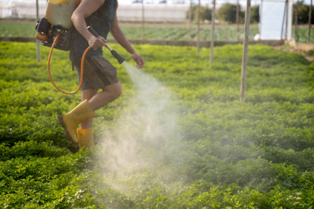 Best Pest Control Near Me  in Buckner, KY
