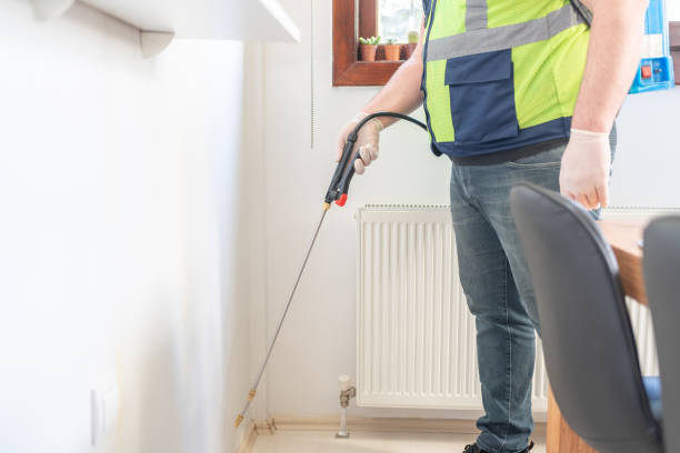 Best Wasp Removal Services  in Buckner, KY