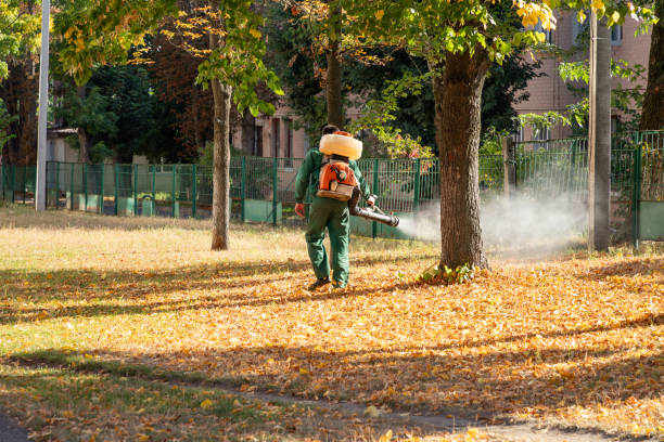 Best Pest Control for Homes  in Buckner, KY