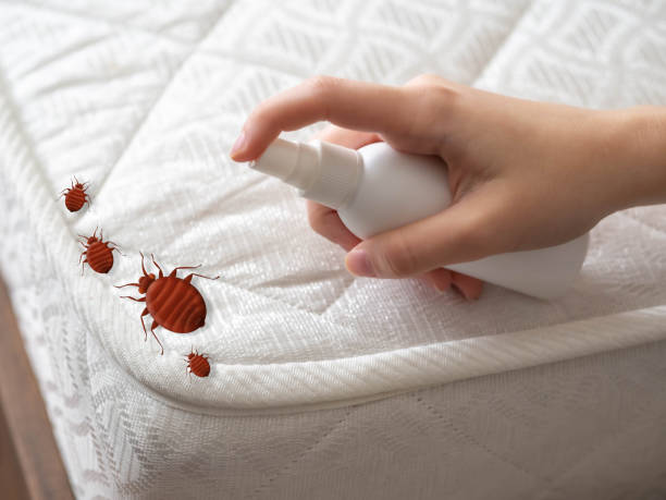 Best Best Pest Control Companies  in Buckner, KY